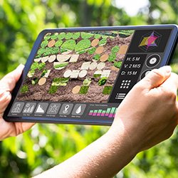 Challenges and solutions for AgTech startups